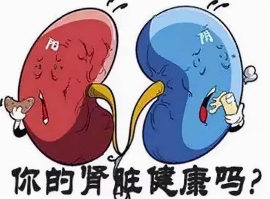 肾结石不疼不代表没有危害，一旦发现要及时就诊！