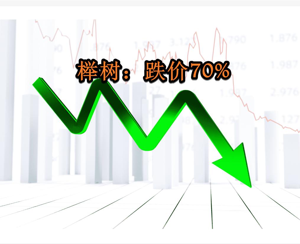 榉树价格下降,榉树价格涨了还是跌了