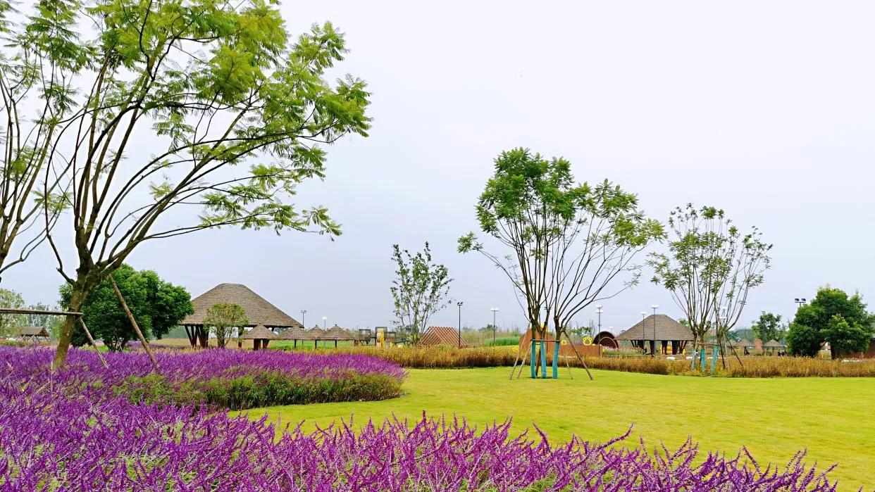 成都环线高速公路最新消息,成都经济区环线高速公路收费吗