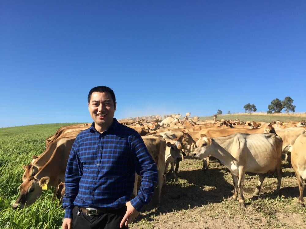 坦图思慕尔小分子奶粉测评,何康辉