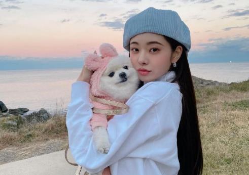 宋智雅假货怎么看出来的,宋智雅爆出穿假货争议道歉