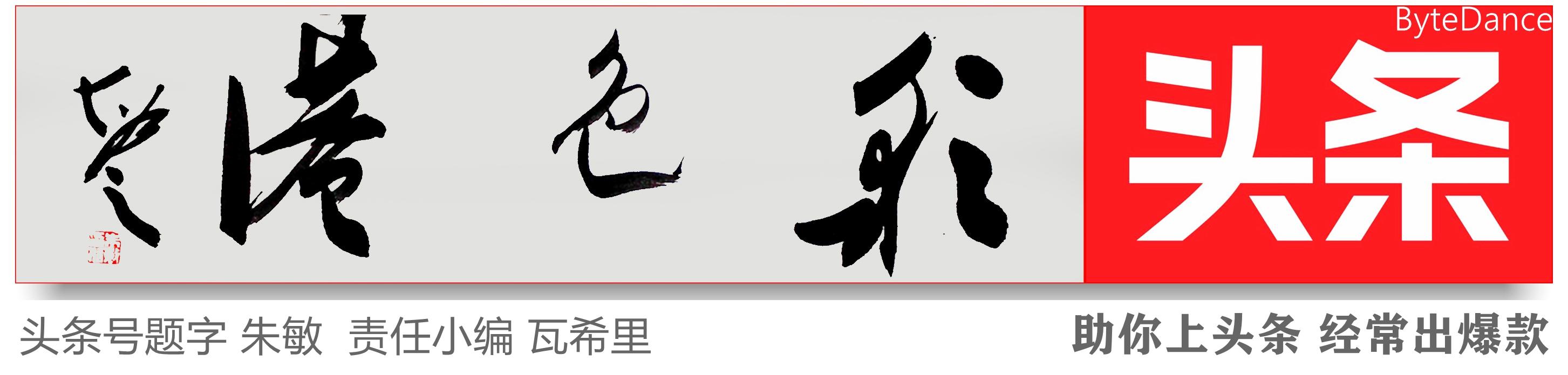 足球要从孩子成长关键期抓起,精彩足球不停步