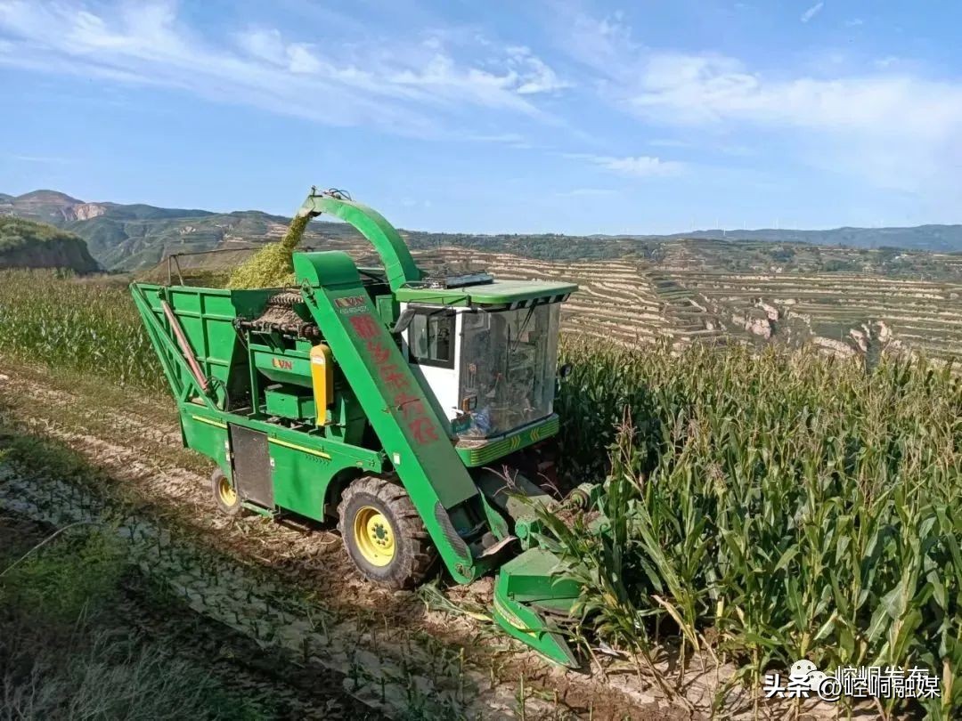 “我们这十年”丨崆峒：“畜”势勃发“牧”歌欢唱