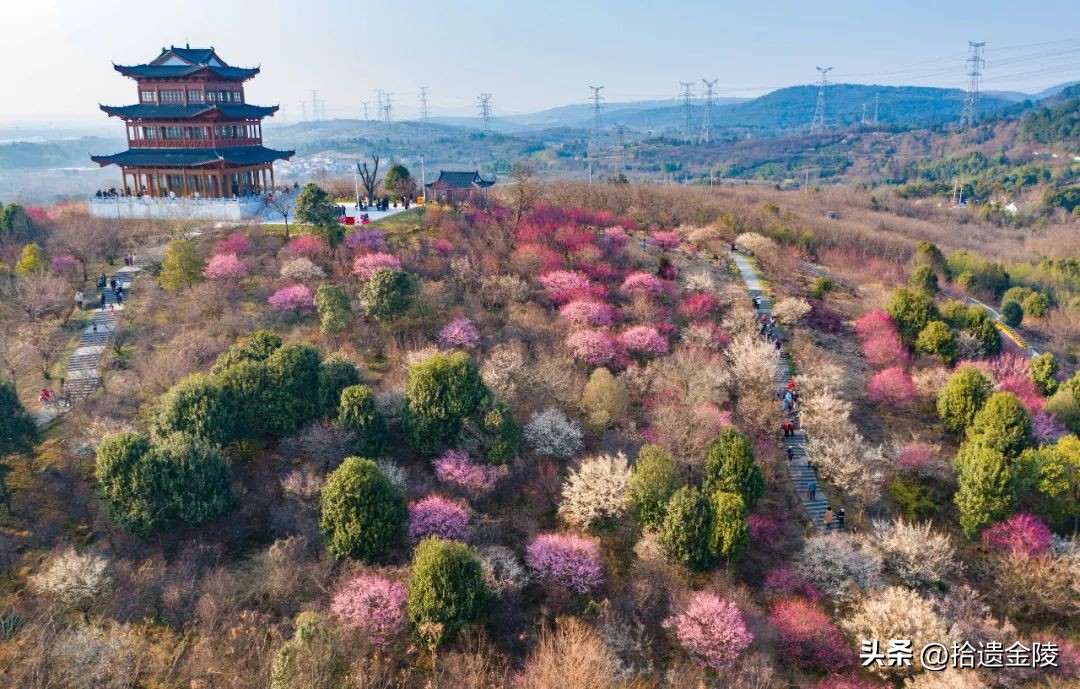 南京看梅花的地方,南京梅花里房价
