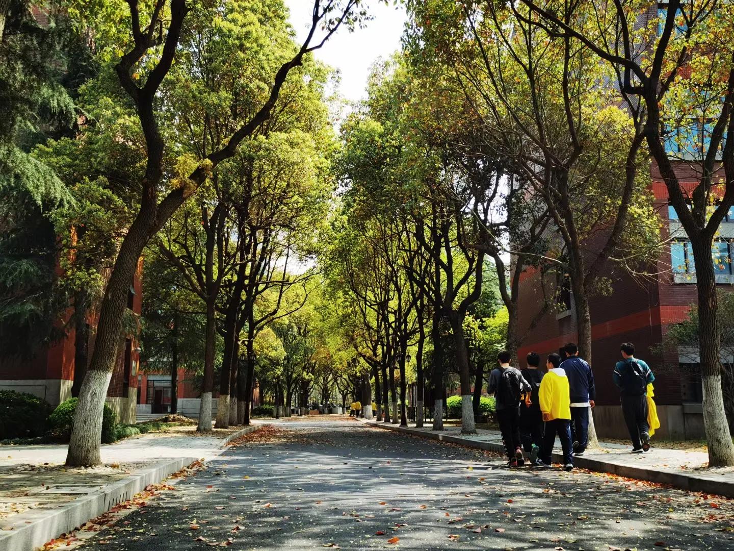 上海寄宿制高中学校排名前十,上海四大寄宿高中