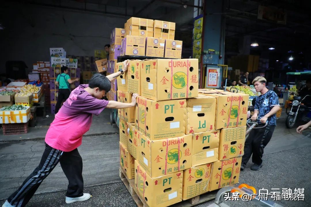 广州哪里榴莲批发最便宜,进口的榴莲多少钱一斤