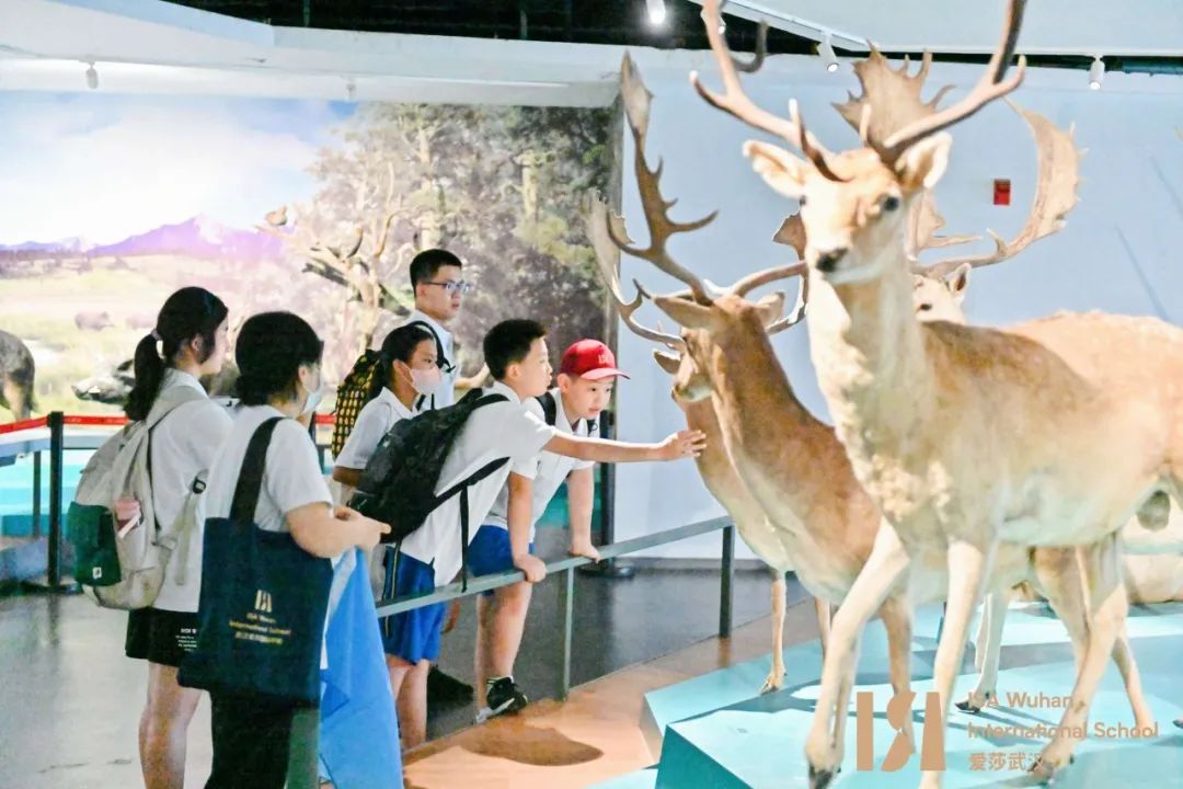 ISAAcademyfor2023-2024|爱莎学苑课程来啦！