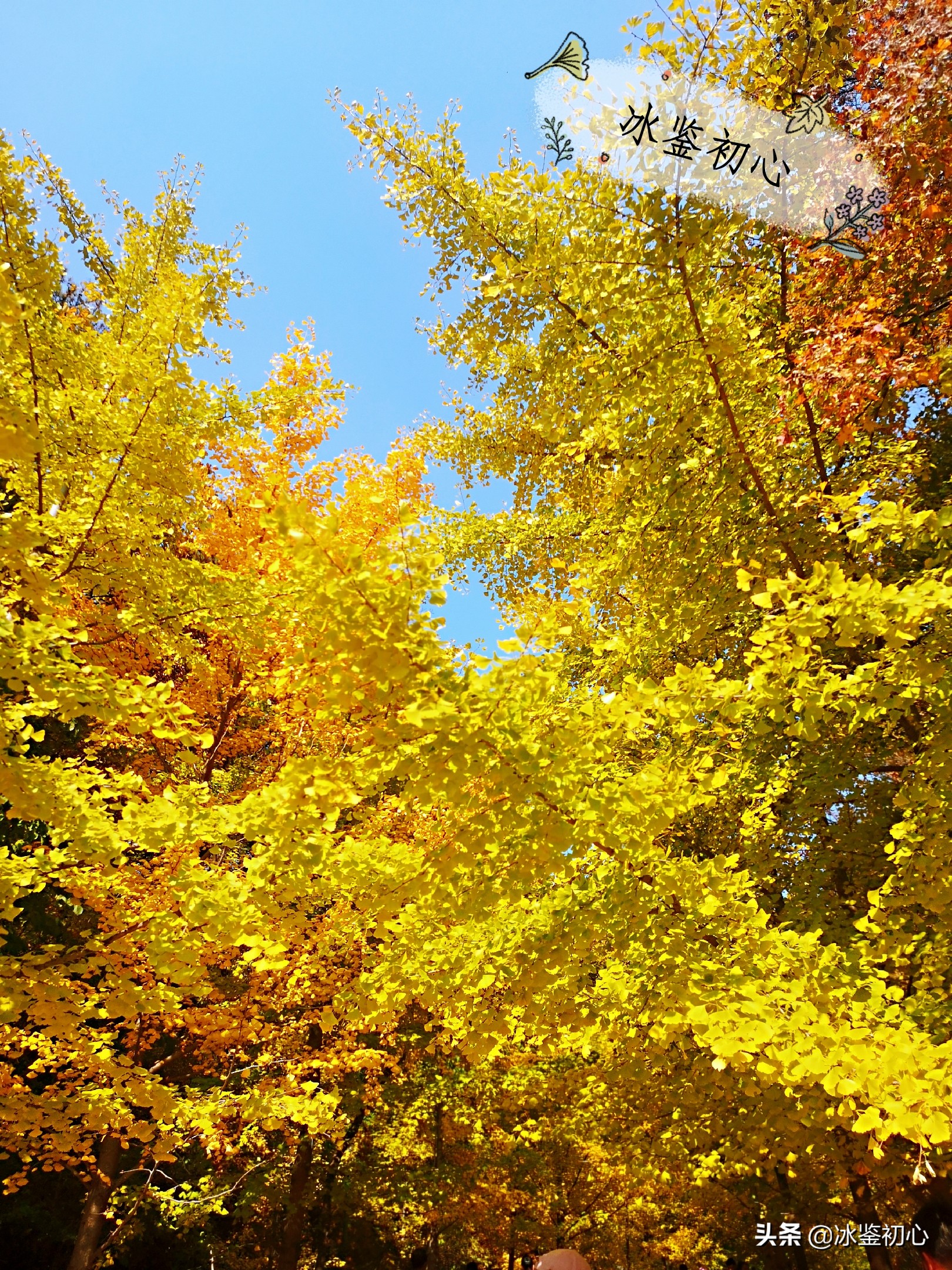 辽东第一山,辽东第一山是什么山