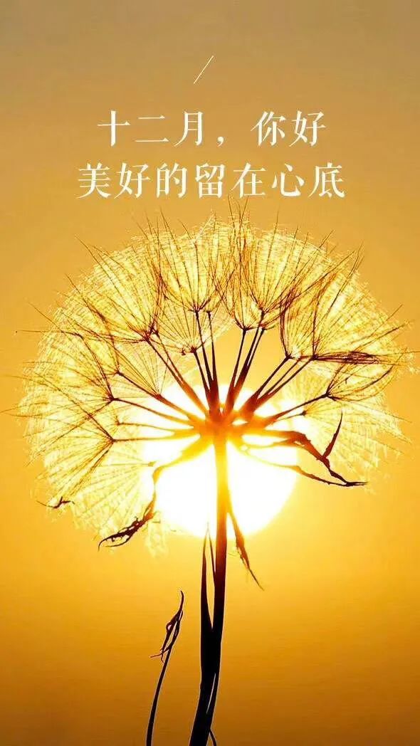 关于国家公祭日的励志短句,公祭日适合发的语录图片