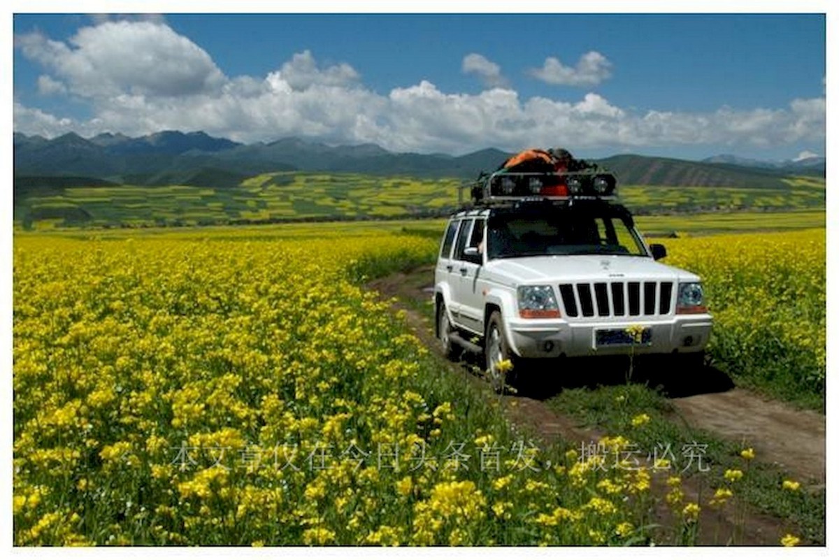 百度和高德地图哪个更准确,百度导航和高德地图哪个更准确