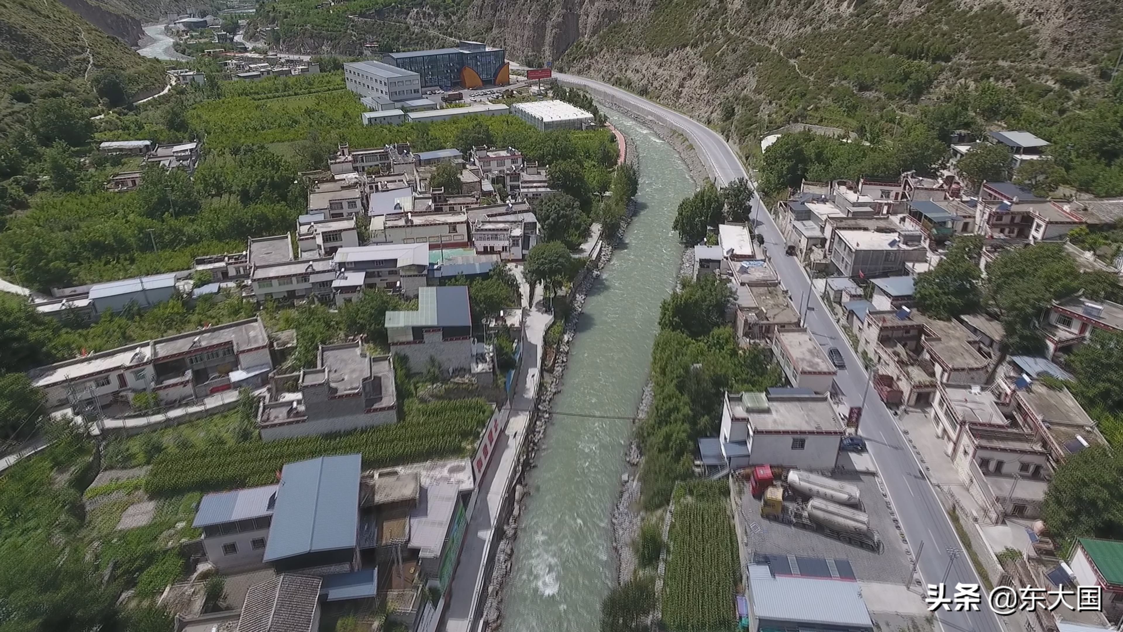 野猪“刺”激来的玫瑰花——玫瑰姐姐和她的美丽经济