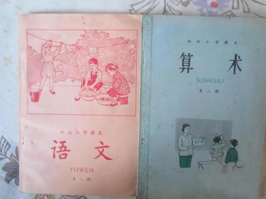 我亲身经历的社会事件作文,社会经历和感悟