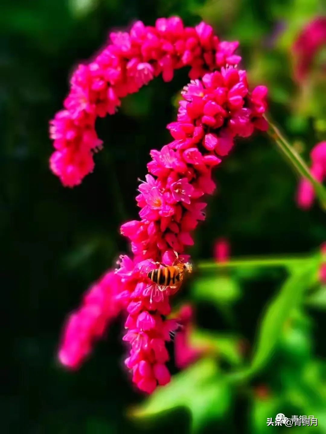 写雪惊艳的诗词,唐宋关于写雪的诗词
