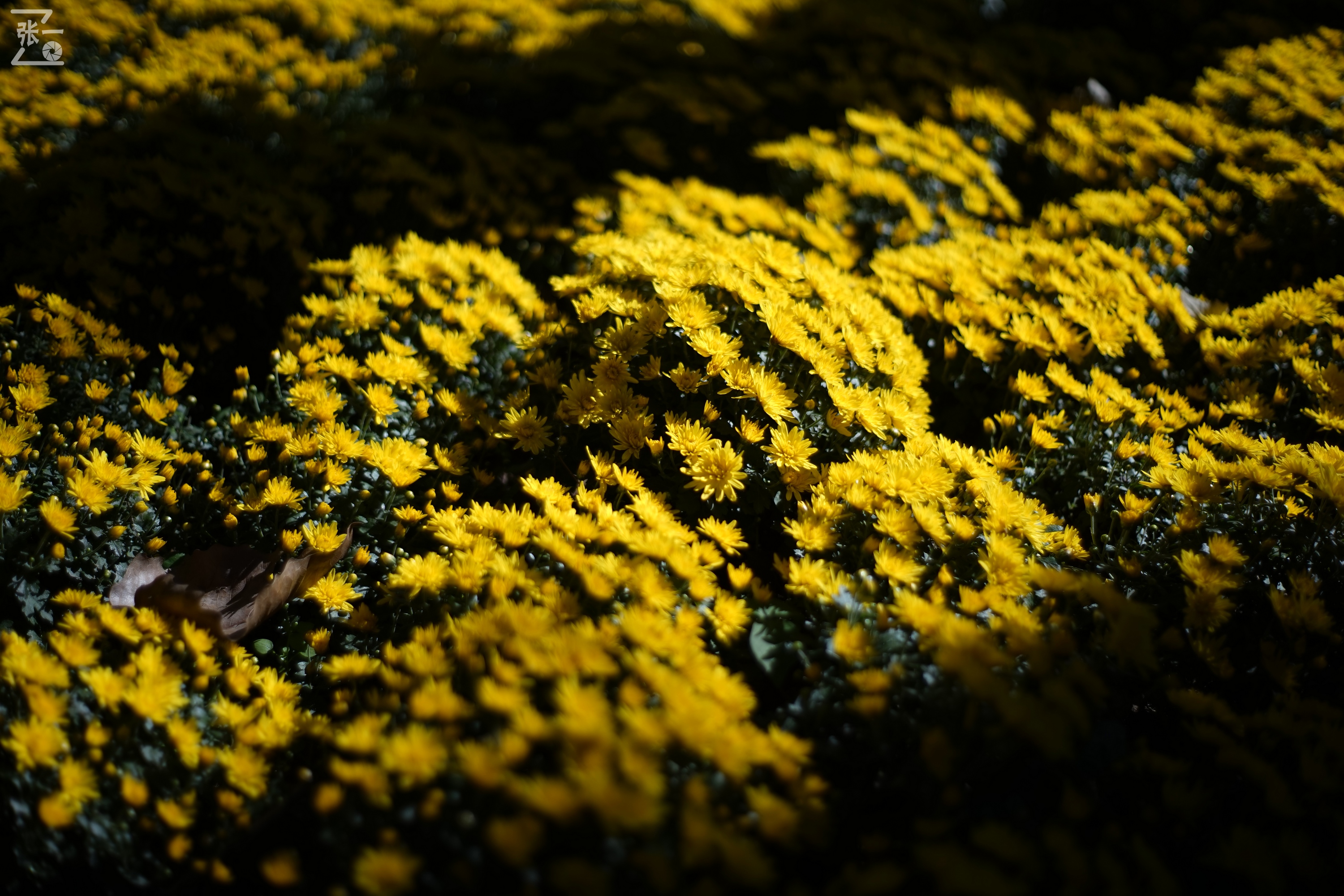 老镜头实拍,老镜头拍北京