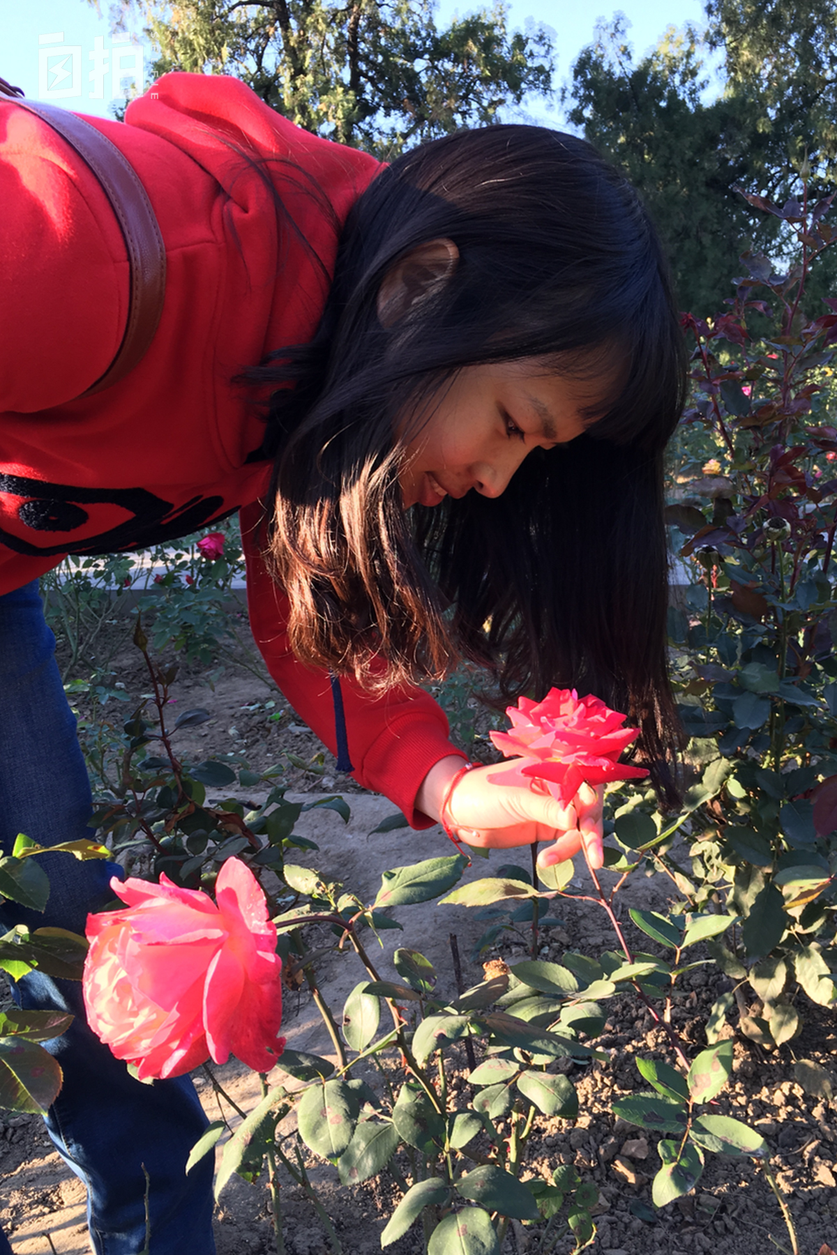 清华博士到深圳当老师,清华博士毕业当教师