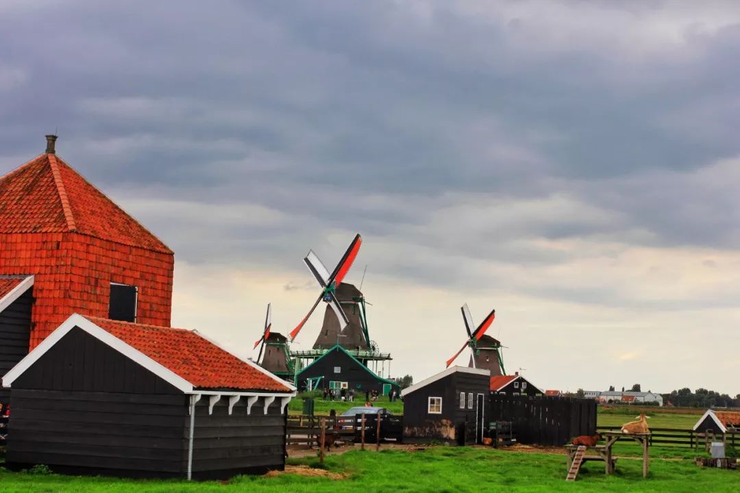 开车去欧洲第23集:在阿姆斯特丹*灯区红**,2名荷兰壮汉挑衅被我怼