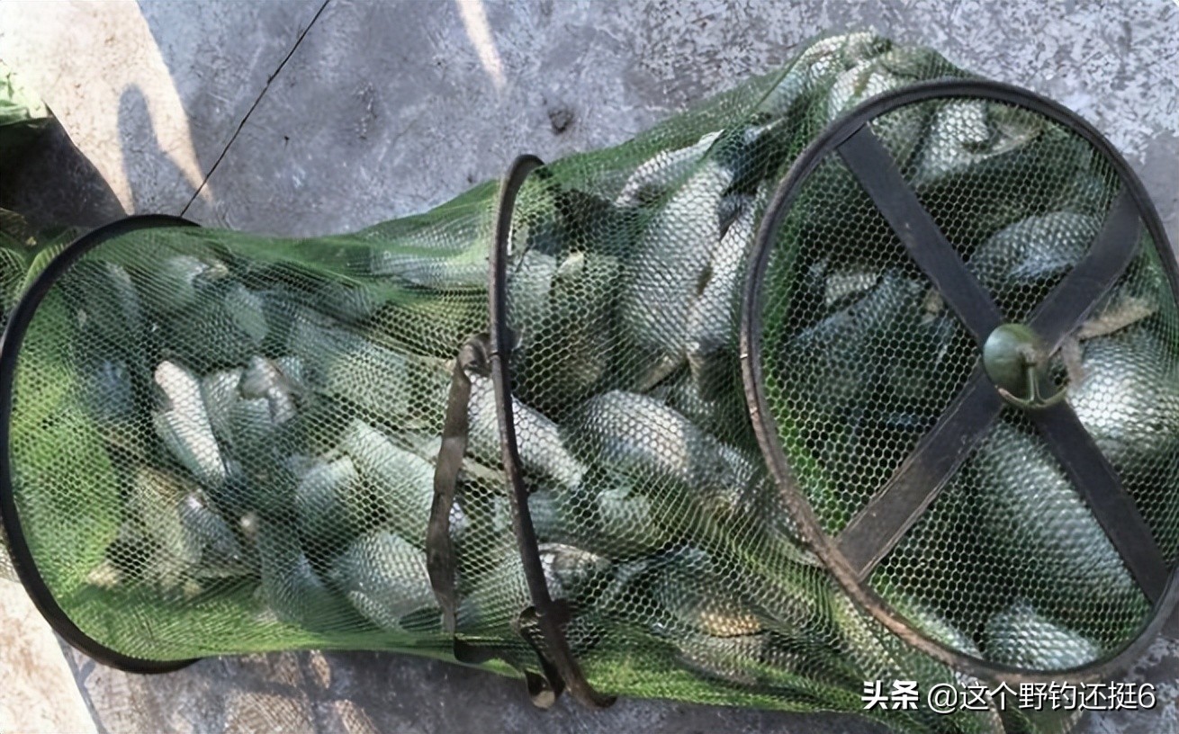 有鱼不开口加什么,有鱼不开口有什么绝招