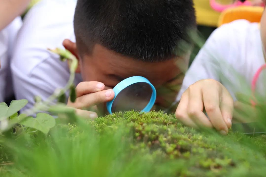 登山观日出云海,黄山观云朗诵合拍