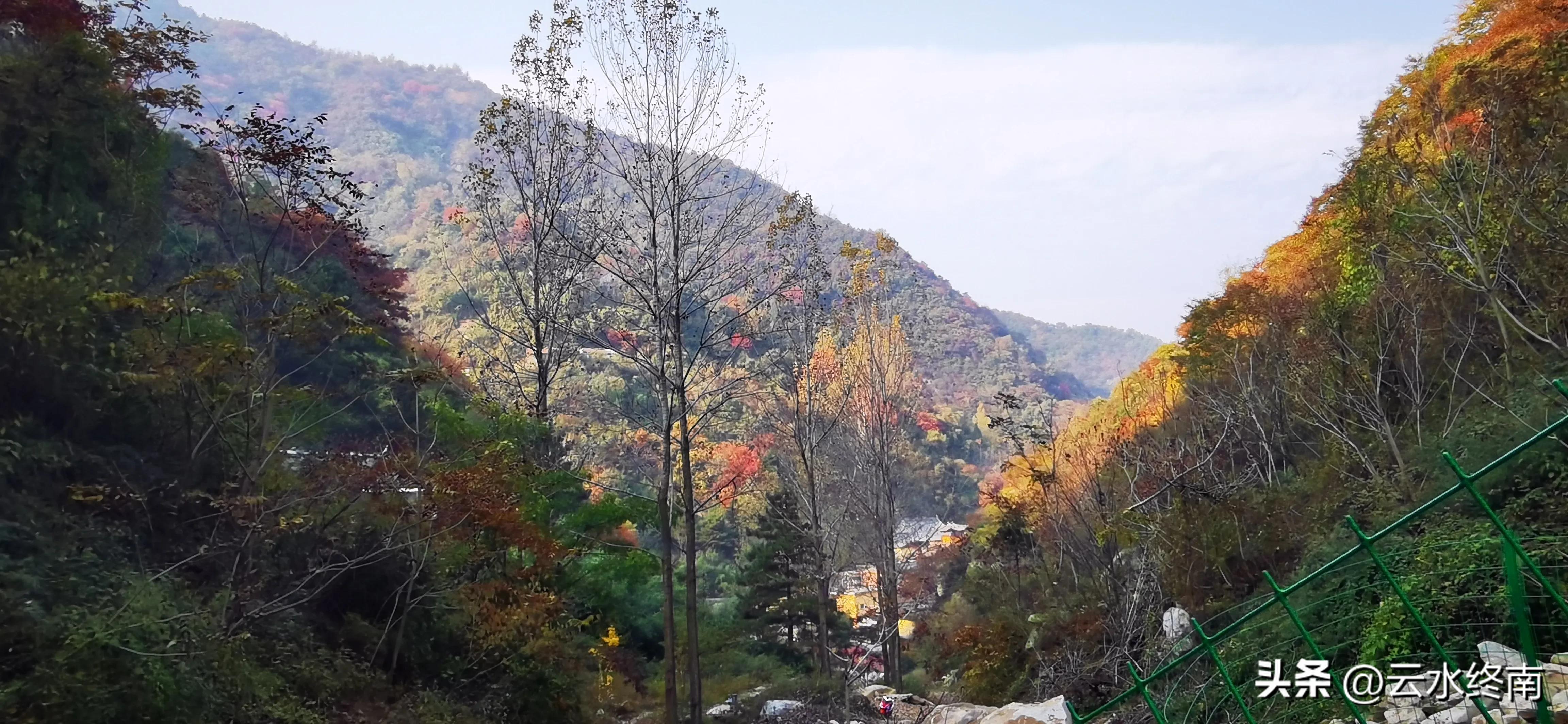 享个清福！到少有人知的峙峪看看漫山红叶，喝喝住山人清茶