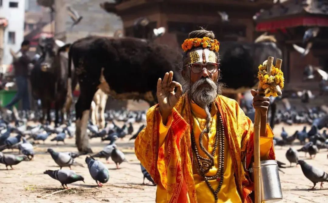 印度的困境与莫迪的无奈,印度现实中的莫迪