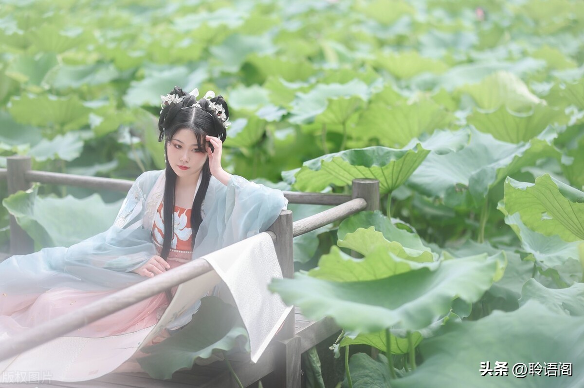 三八节到了如何赞美女人,三八妇女节赞美女性的图片