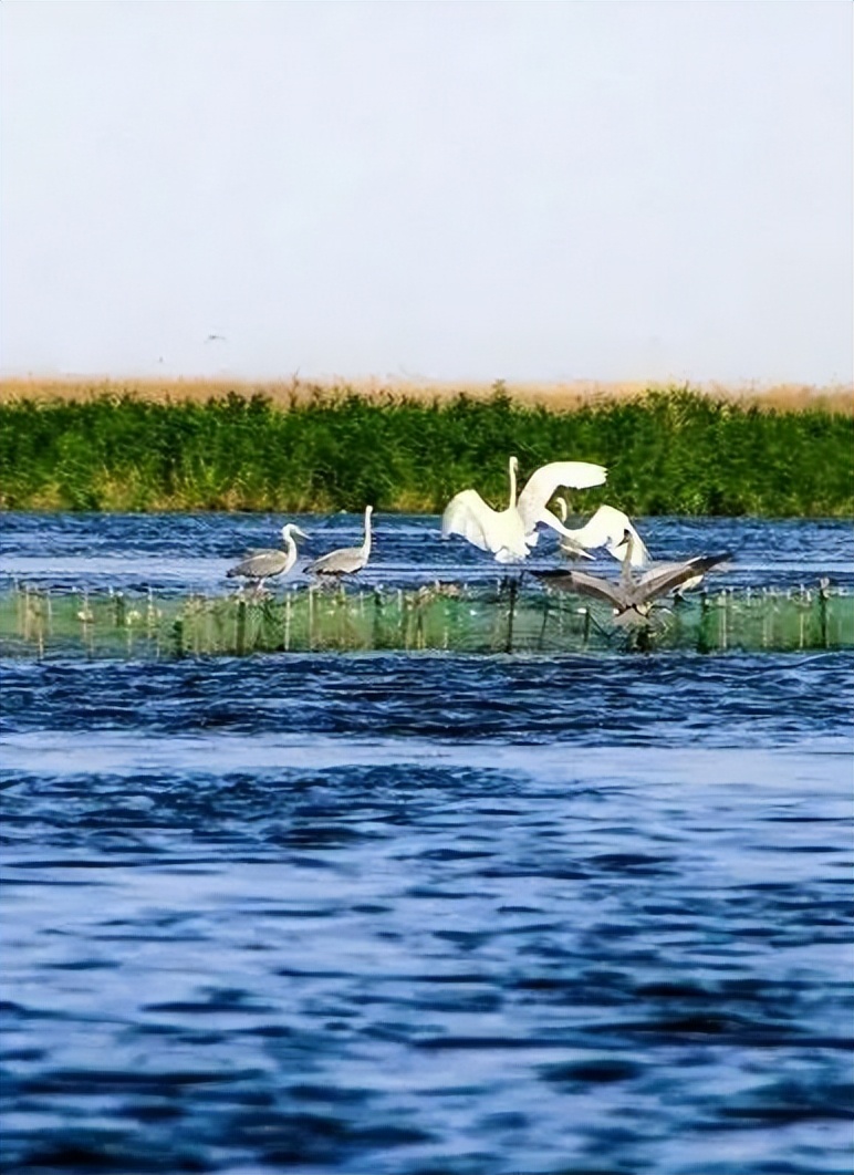 巴彦淖尔游玩推荐,巴彦淖尔旅游必去十大景点