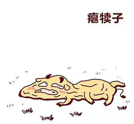 东北方言八大犊子简介,东北方言大全扯犊子