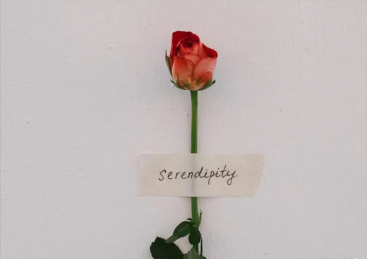 想让女人对你爱不释手,如何让女人对你情不自禁