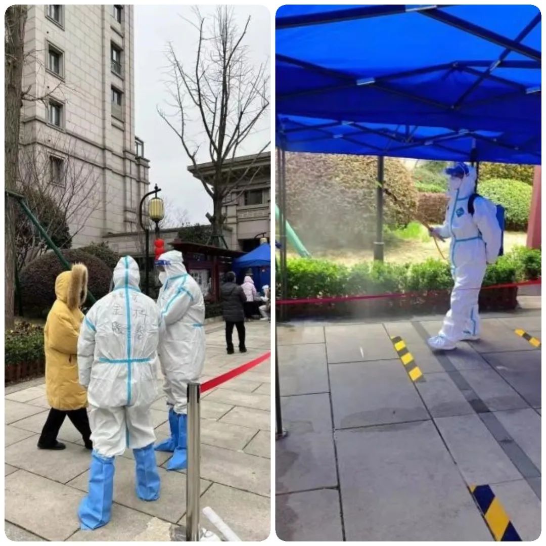 金科王府物业服务怎么样,金科王府小区品质