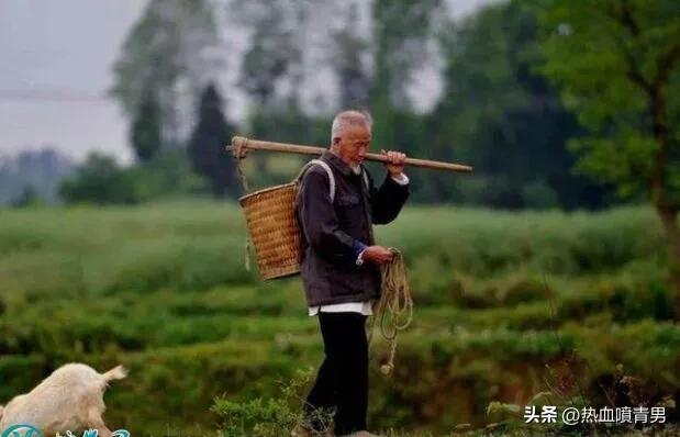 新型农业农民证,新型农业农民资格证书