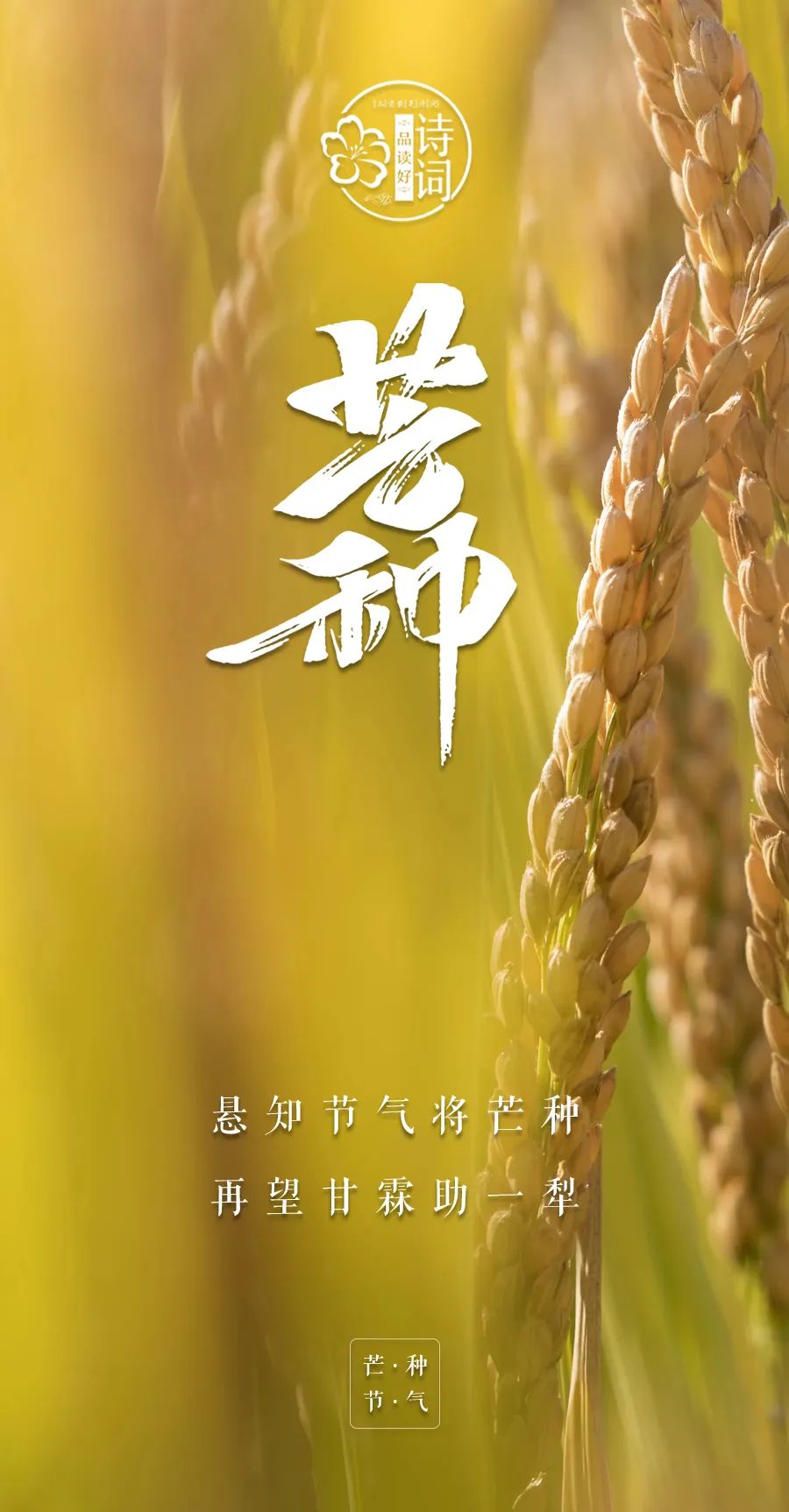 芒种悟人生的诗句,关于芒种的诗句汇集