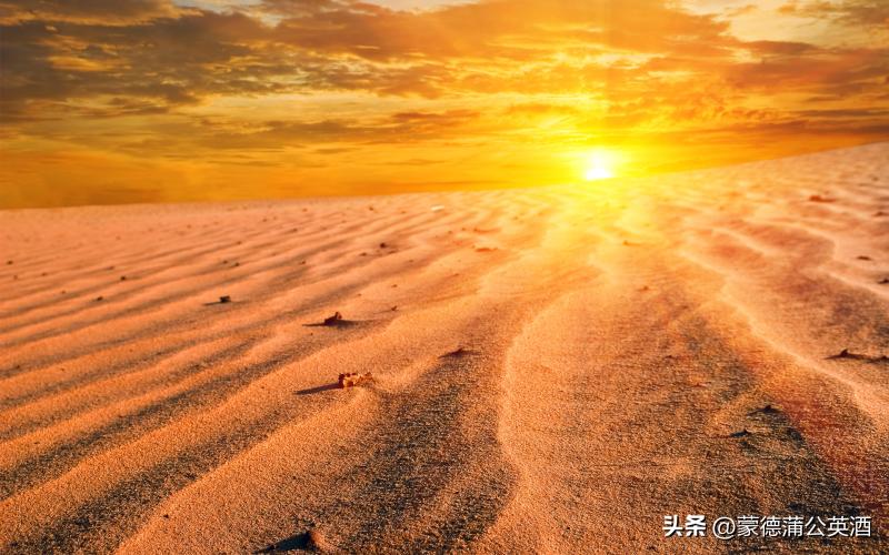 原神迪希雅遇到佣兵,迪希雅主线任务里的佣兵