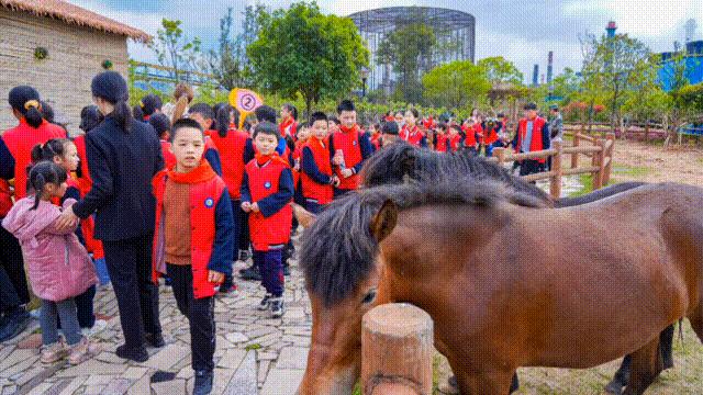 全国生态环境日主题,全国生态日绿水青山就是金山银山