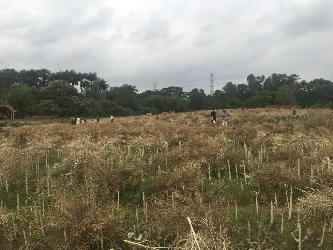 旭光电动车行,旭光车行向阳路