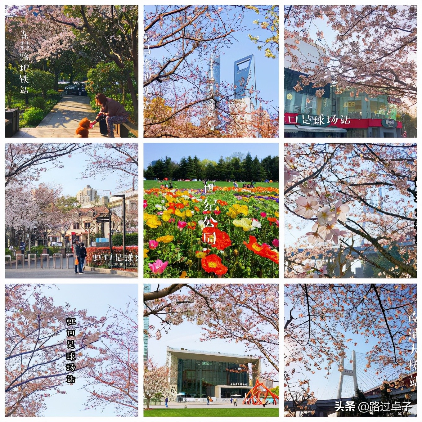 上海地铁旅游景点攻略,上海地铁打卡攻略