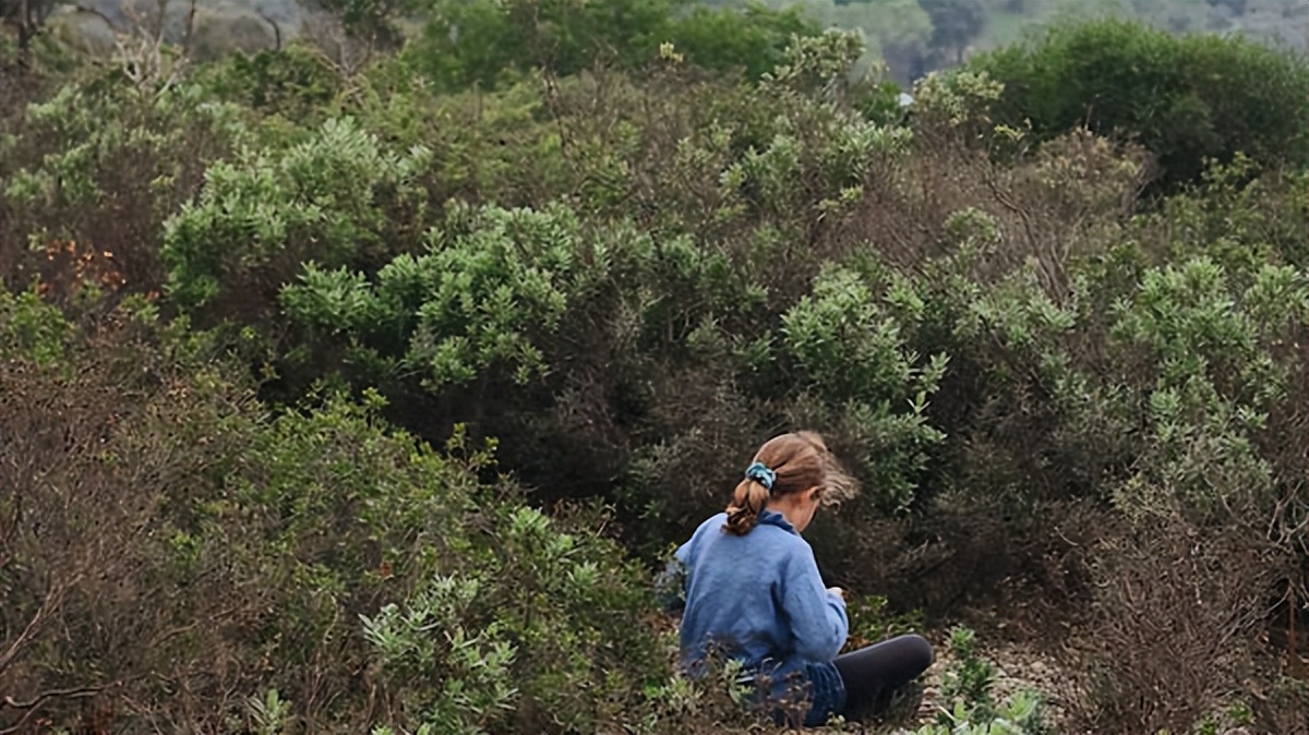 十首超好听的美文歌曲,最流行的歌曲美文