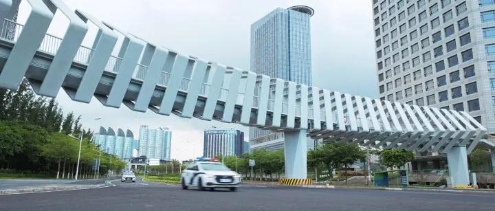 年度热剧2019,年度好剧开端