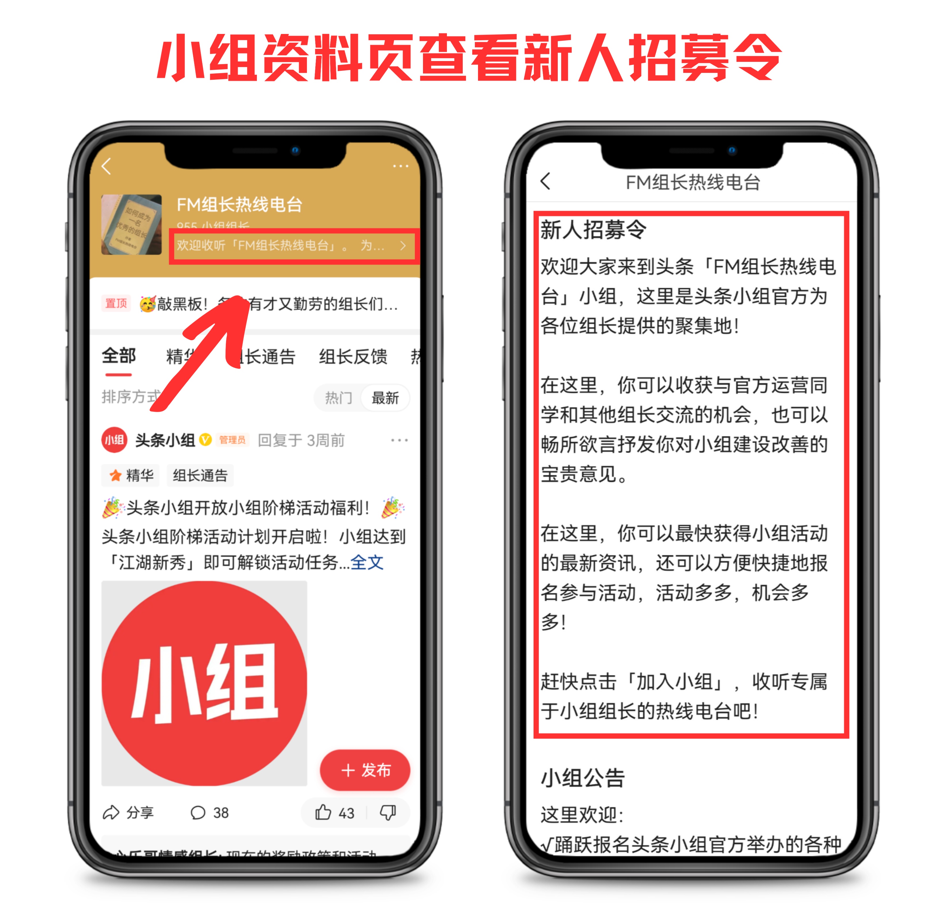 组长招募令,组长团队建设及人才培养怎么写