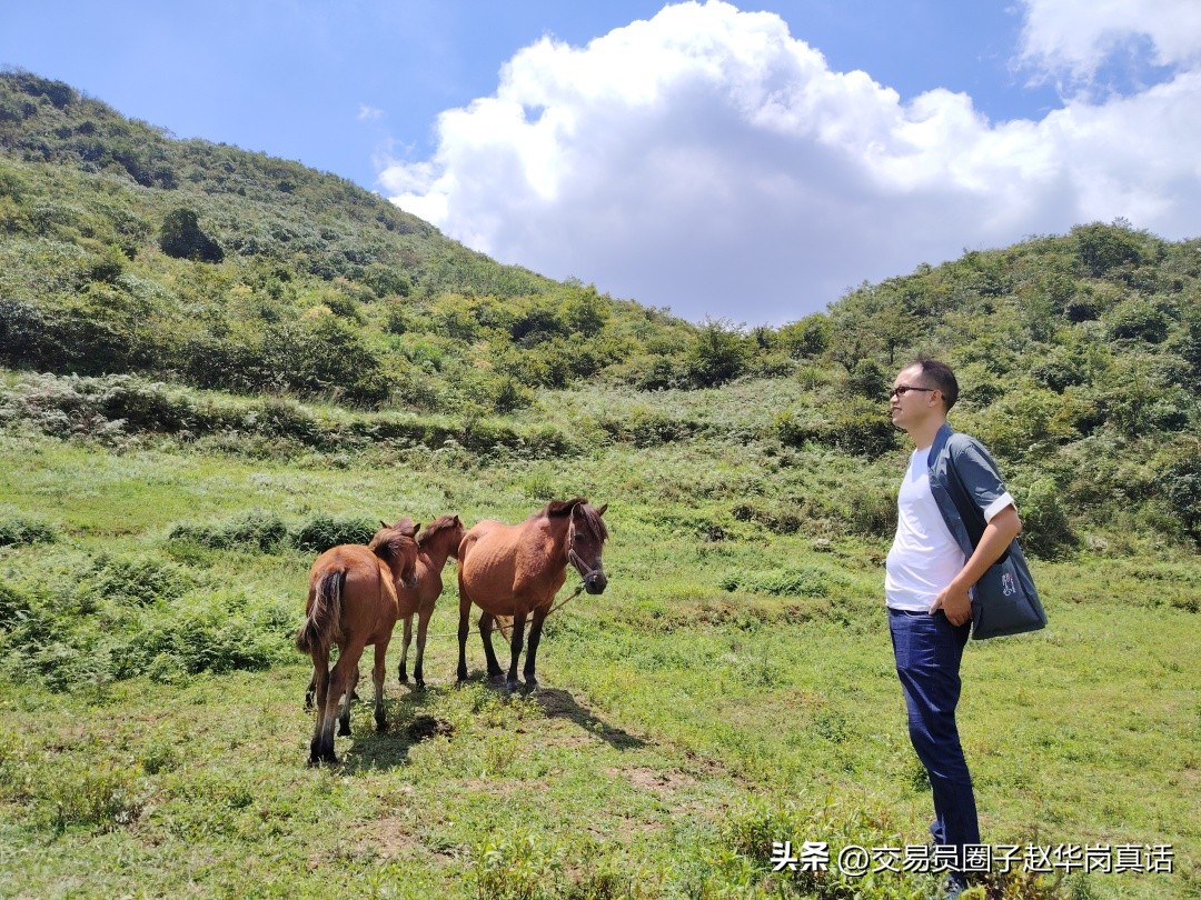 赵华岗交易战法,赵华岗外汇特殊战法