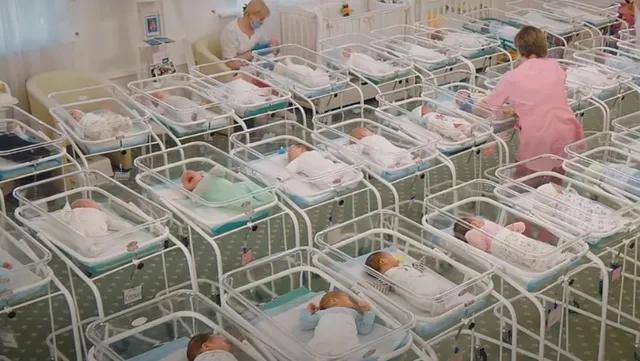 拉皮条、搞代孕、伪造战争视频，这个乌克兰主播可真刑