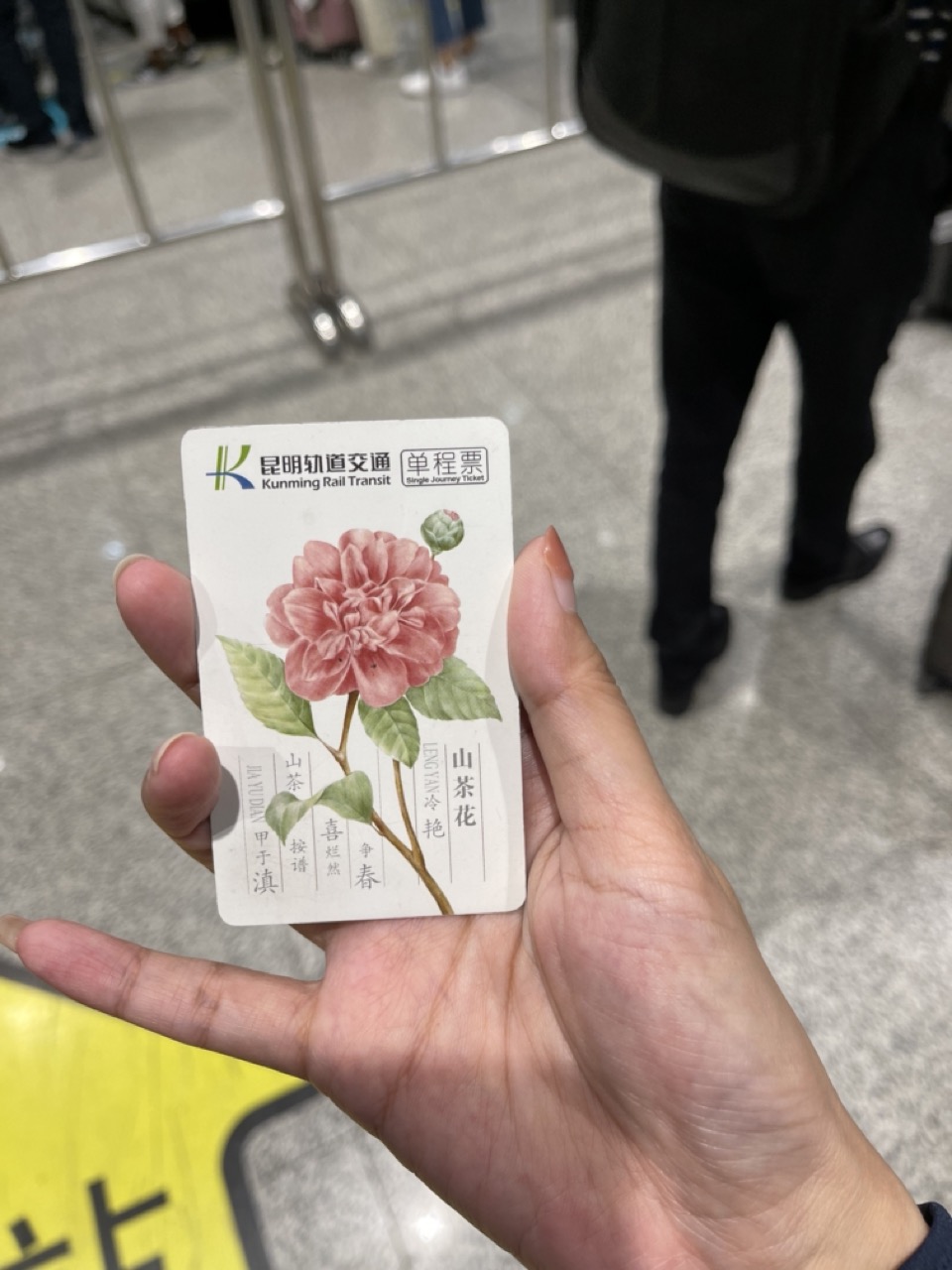 昆明一座让人流连忘返的城市,被低估的旅游城市昆明