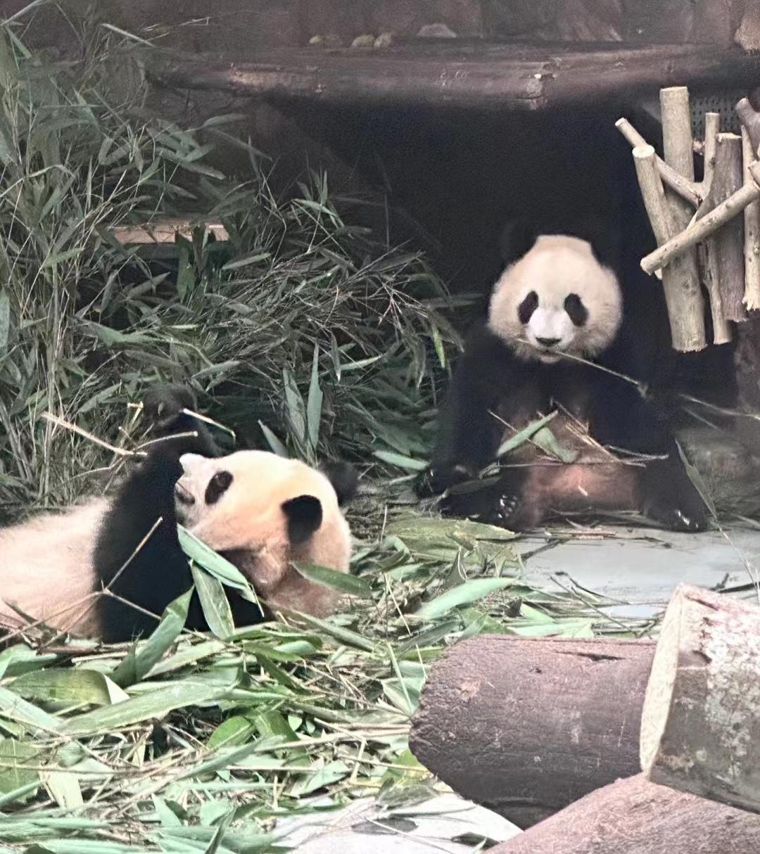 焦虑最好的治愈方法就是旅游,缓解焦虑的办法就是去一次旅行