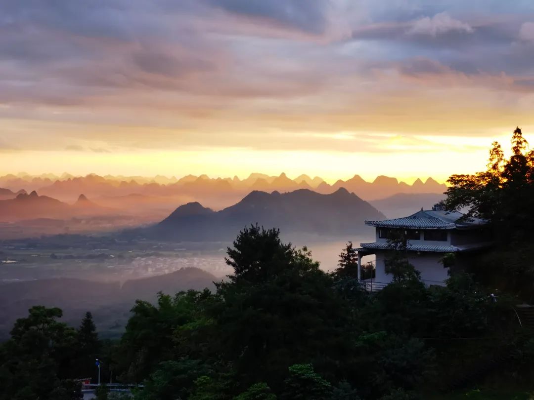 猫咪走太空步原视频最火,猫咪壁虎漫步视频