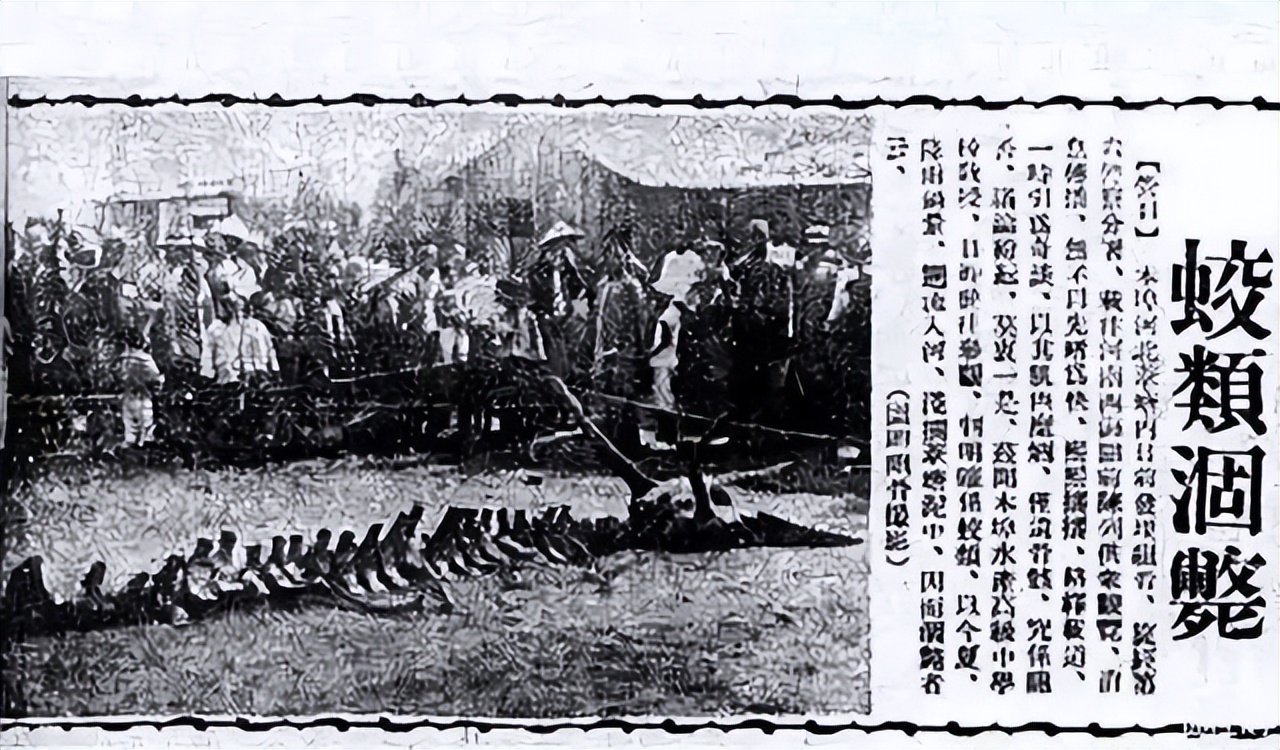 头上长角的长寿老人,107岁老人头上有个长犄角