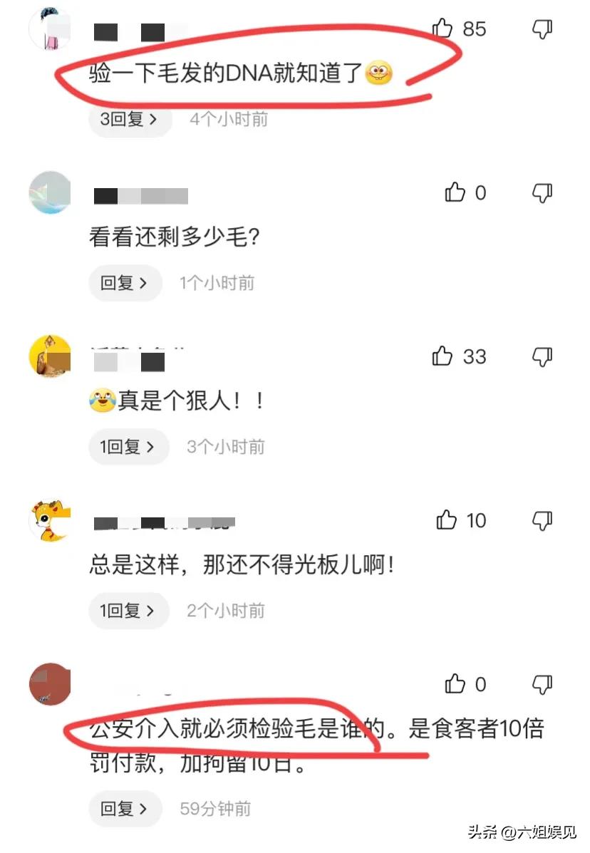 荒唐！疑大连一女子为吃霸王餐，偷拔裙底下面毛发放入食物