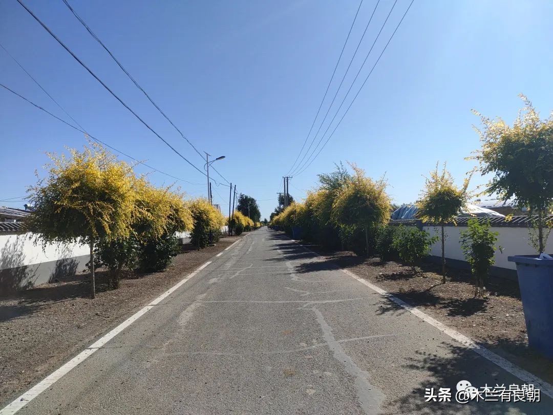 疫情虽然可怕但是我们永不畏惧,疫情依然不容小视