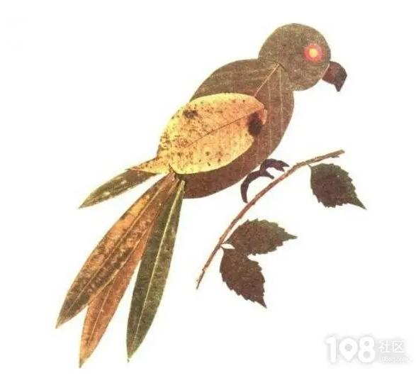 用落叶做一幅秋天的画,用水粉落叶做一幅秋天的画