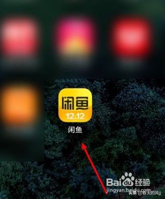 12315投诉闲鱼卖家流程,闲鱼怎么联系卖家