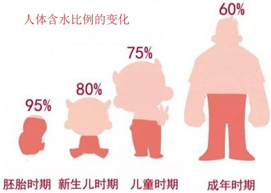 减肥的时候特别担心体重秤不准,健康体重秤不准了该怎么弄