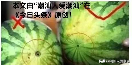 夏天一定要吃的三瓜你知道吗,广东夏季时令瓜